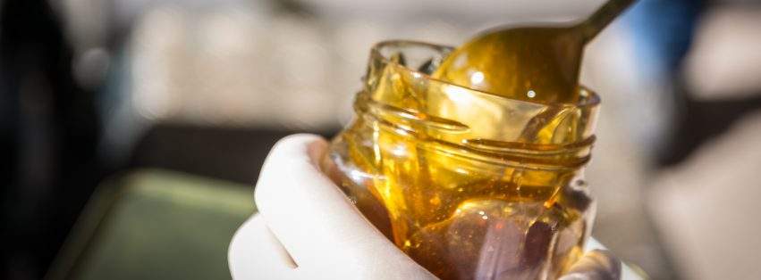 ΝΙΚΗ ΓΙΑΝΝΙΩΤΗ * μélite honey * μέλι Αγράφων Ευρυτανίας