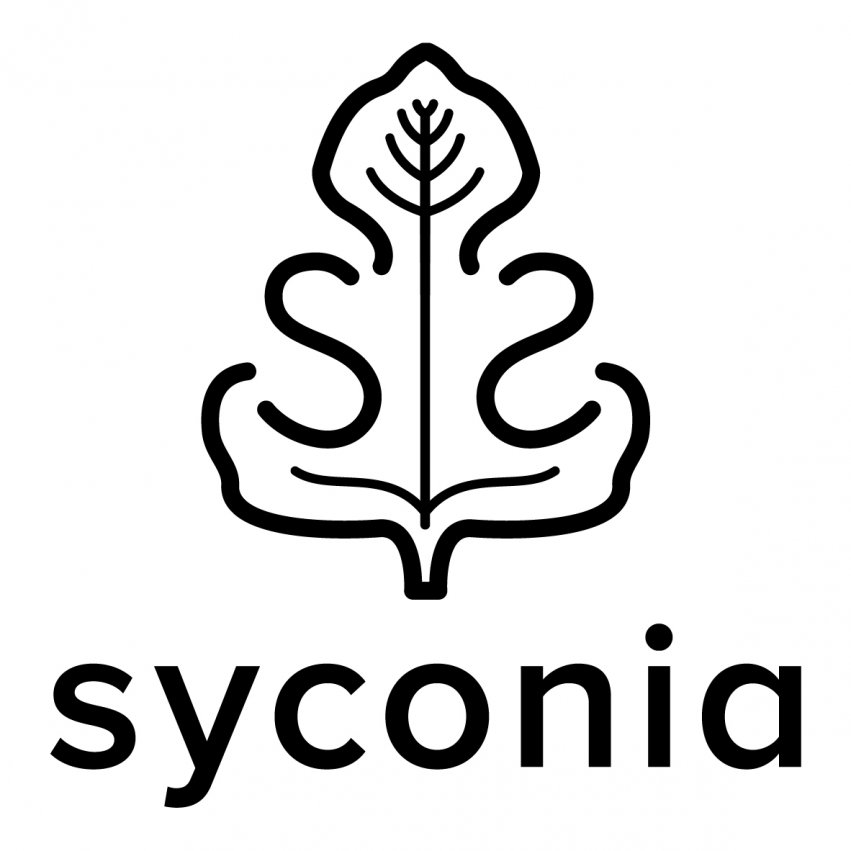 Syconia-Organic Dried Figs